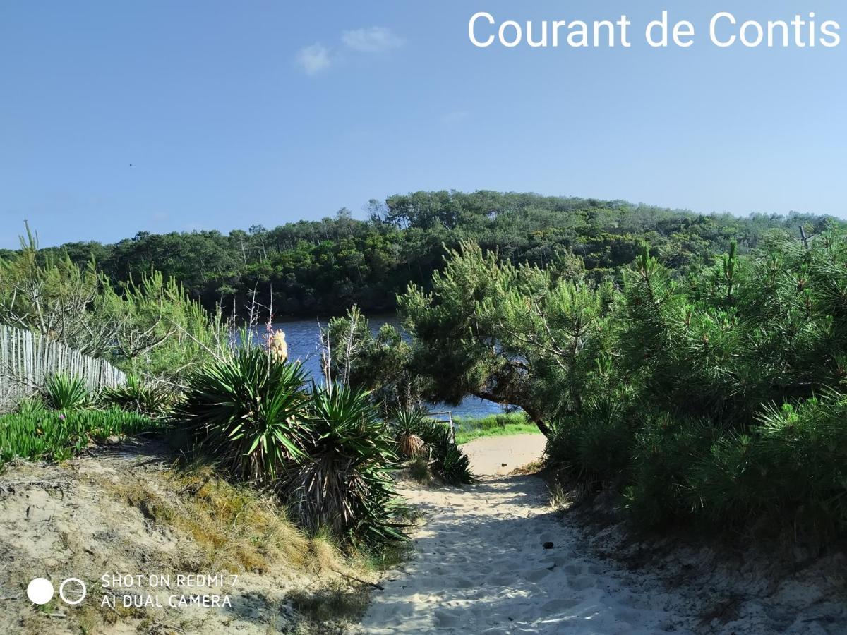 Chalet Camping Les Vignes Lit-et-Mixe Eksteriør billede